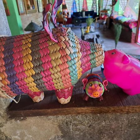 Готель Planta Glamp Farm Santa Maria Huatulco Екстер'єр фото