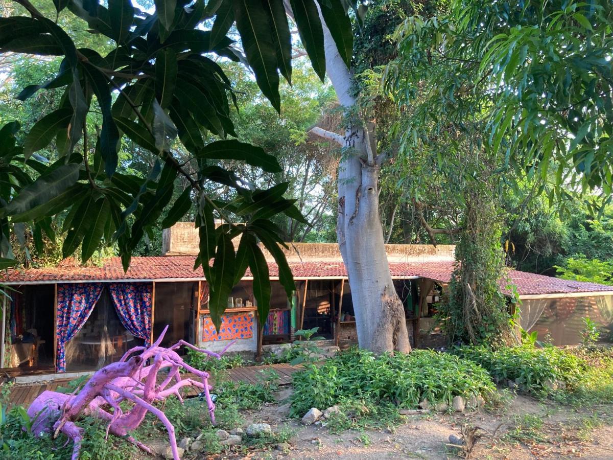 Готель Planta Glamp Farm Santa Maria Huatulco Екстер'єр фото