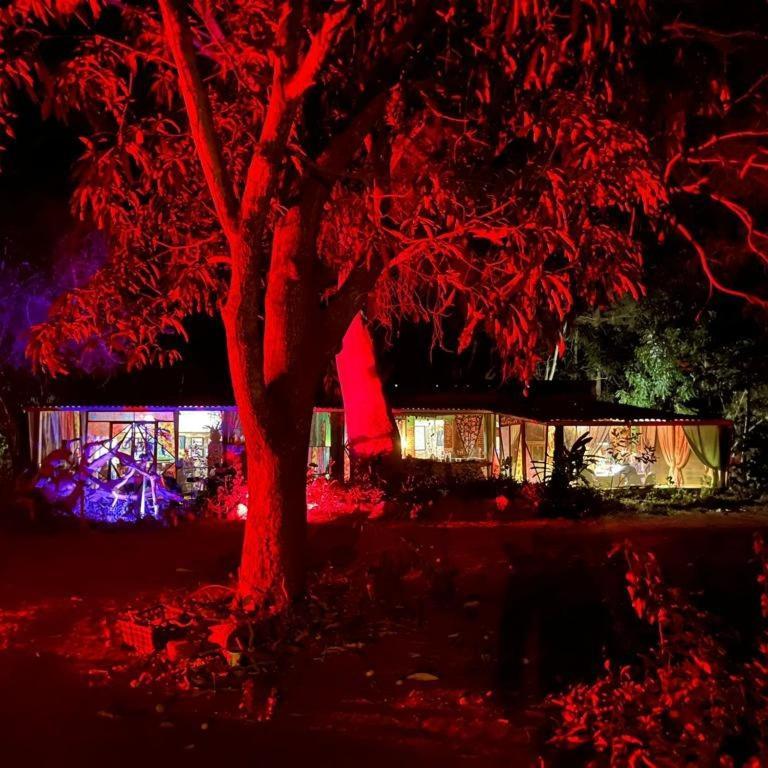 Готель Planta Glamp Farm Santa Maria Huatulco Екстер'єр фото